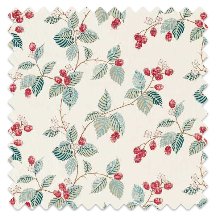 Swatch of Rubus Raspberry