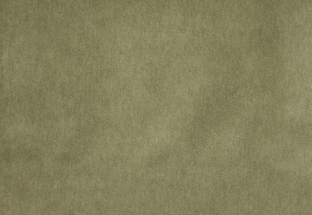 Image of Savona aloe by Kai
