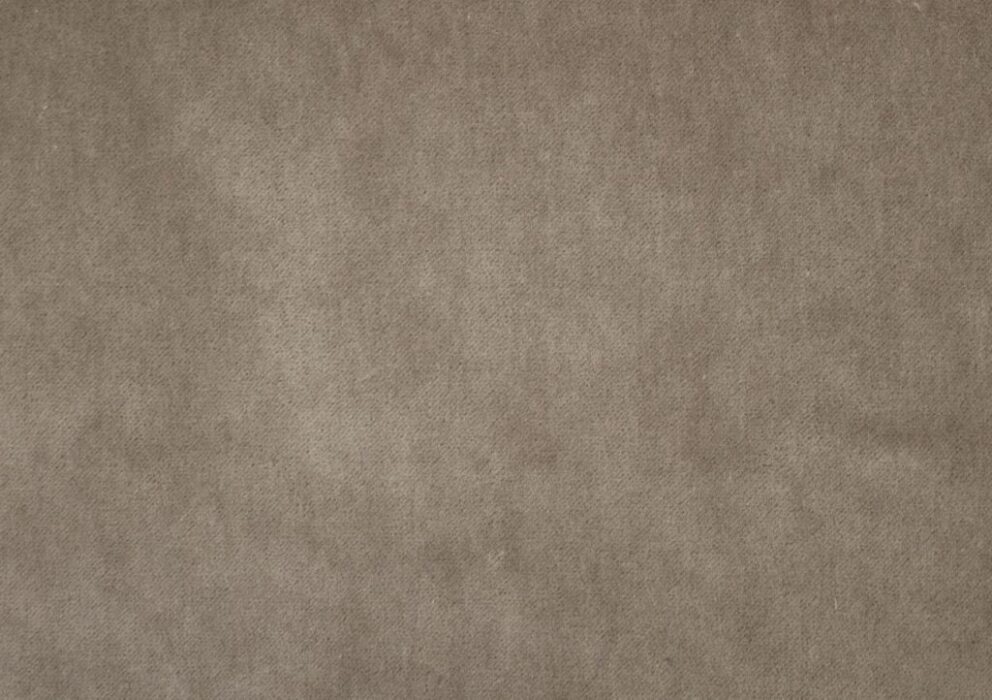 Image of Savona mole by Kai