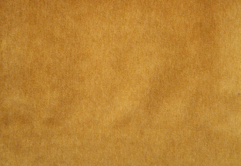 Image of Savona mustard by Kai