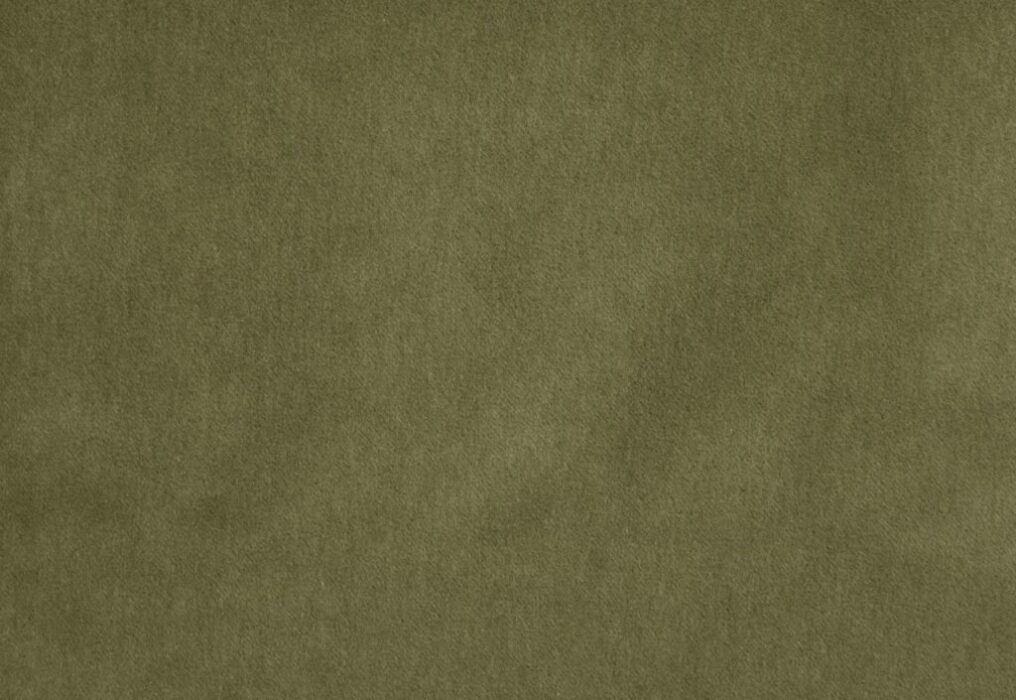 Image of Savona olive by Kai