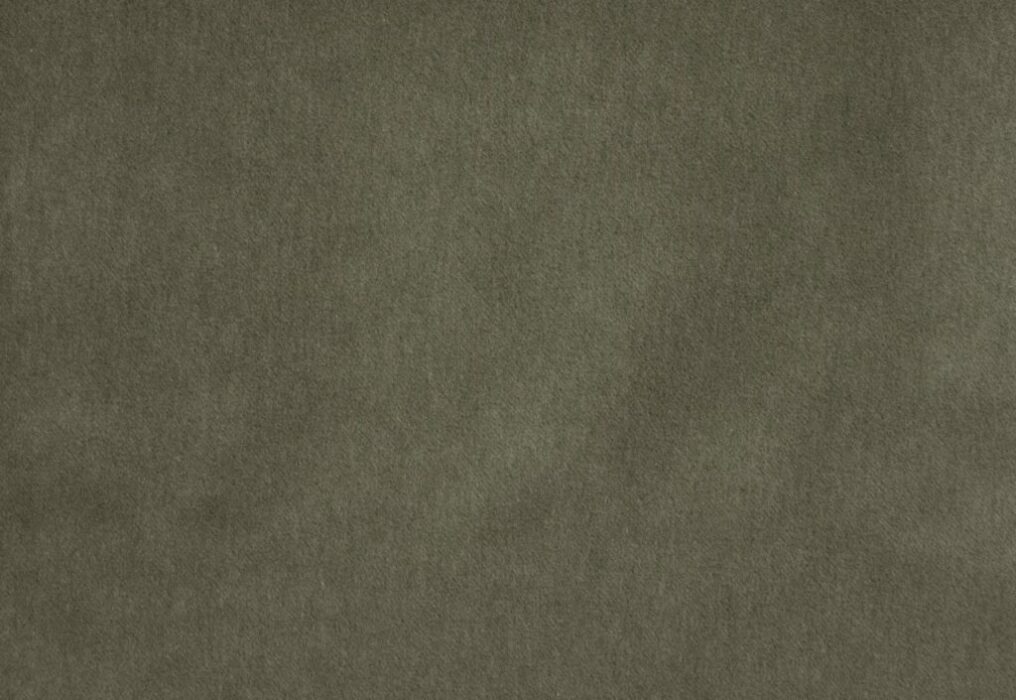 Image of Savona pine by Kai