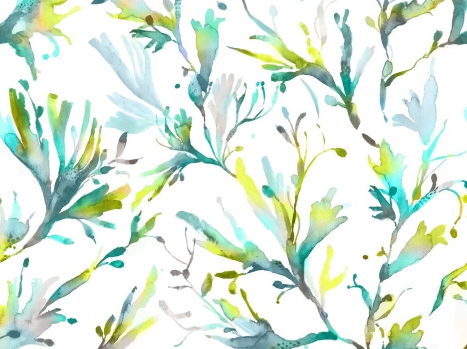 Image of seaweed kelpie by Voyage