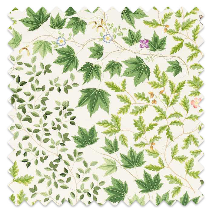 Swatch of Sycamore And Oak Botanical Green