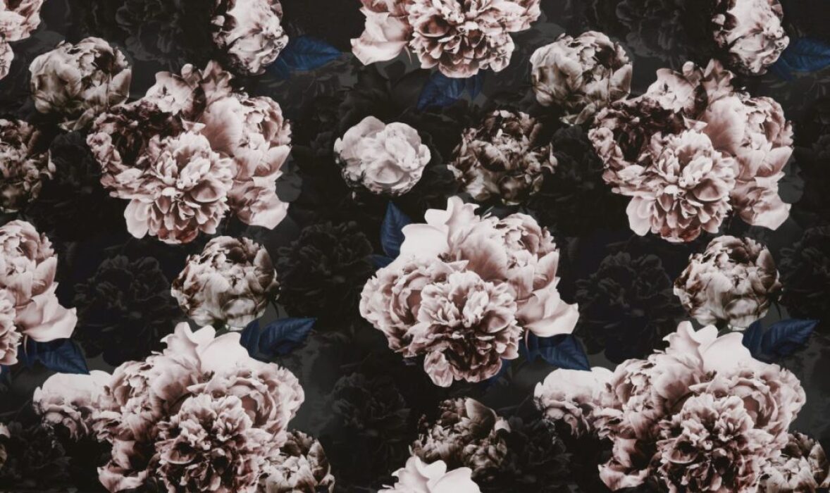 Image of vespertina quartz by Ashley Wilde