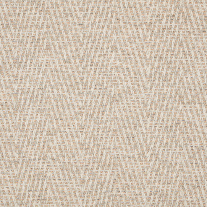 Vortex Guava Fabric by iLiv