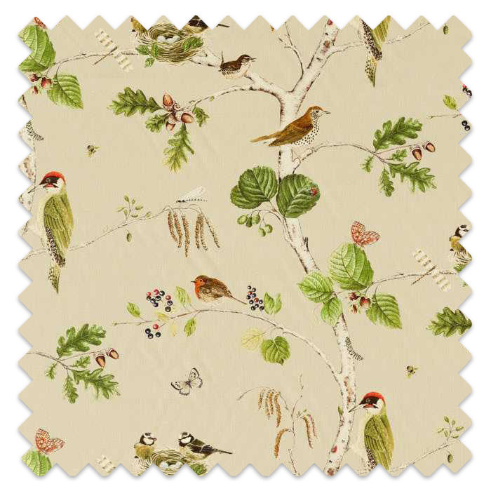 Swatch of Woodland Chorus Birch/Multi