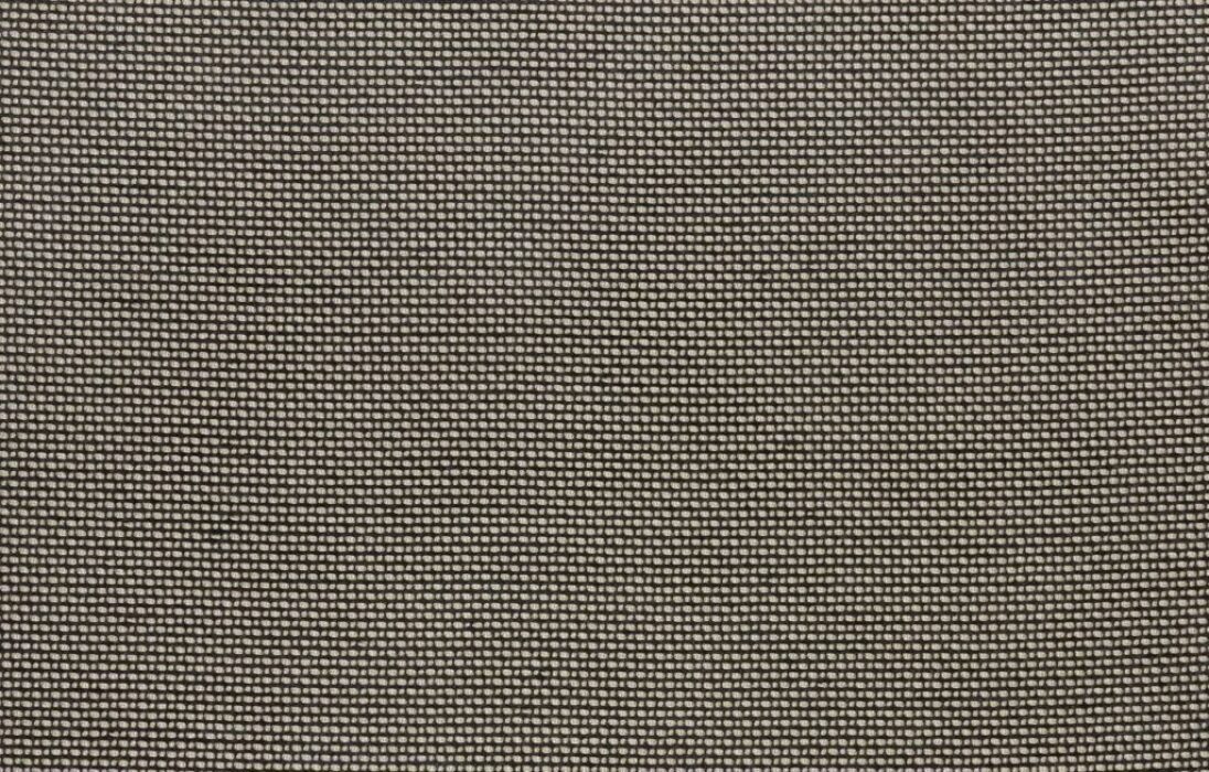 Image of Zeus bark by Kai