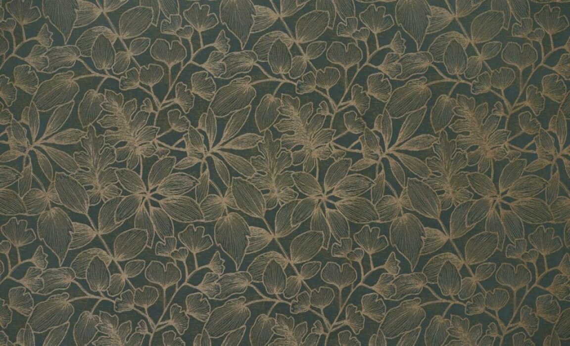 Image of Ziba fern by Kai