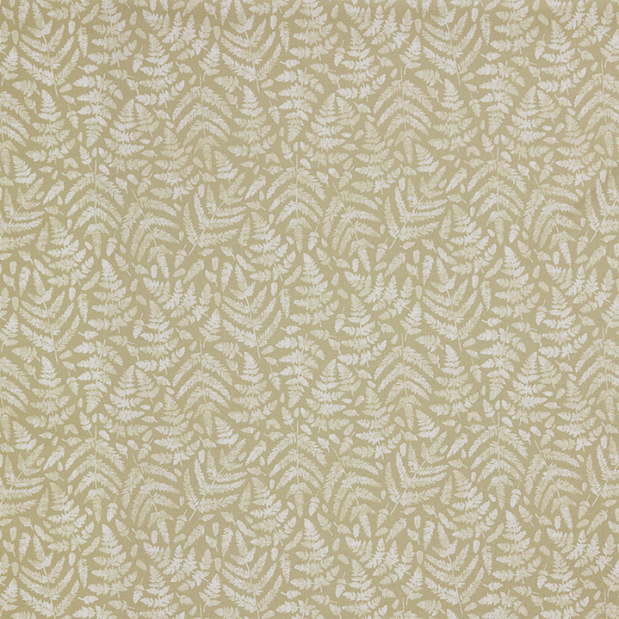 Made To Measure Roman Blinds Fernshore Fennel Flat Image