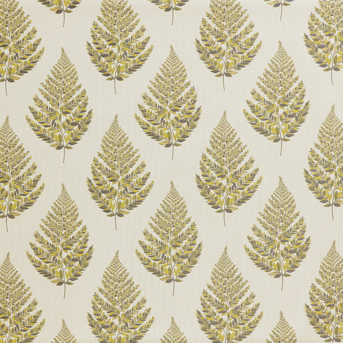 Made To Measure Roman Blinds Frond Fennel Flat Image