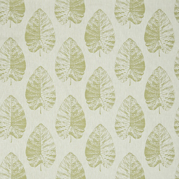 Made To Measure Roman Blinds Laurie Fern Flat Image