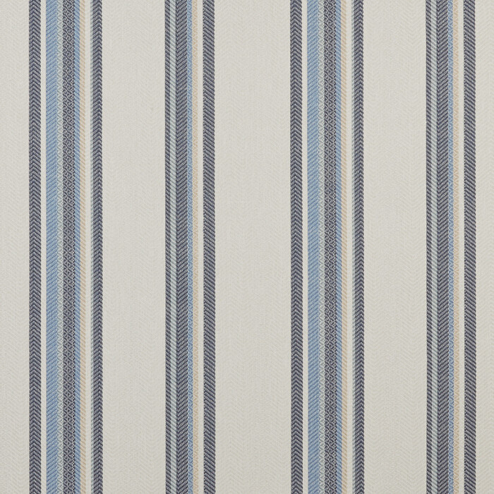 Indus Navy Fabric