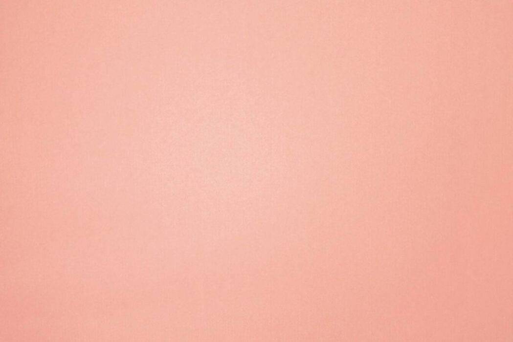 Como Rose Fabric Flat Image