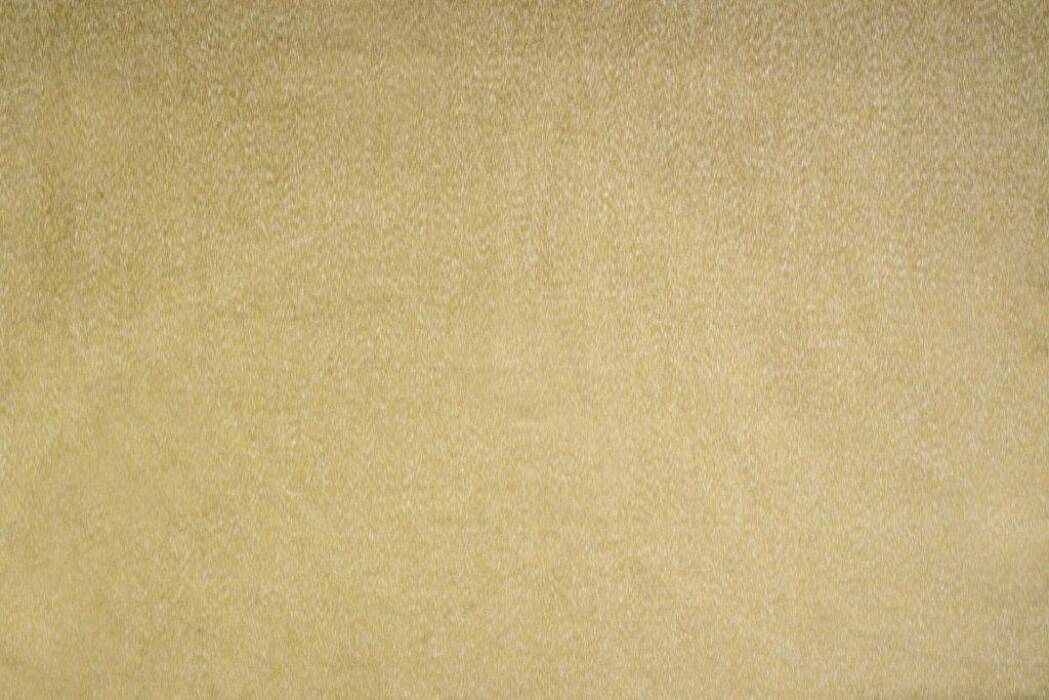 Konrad Gold Fabric Flat Image