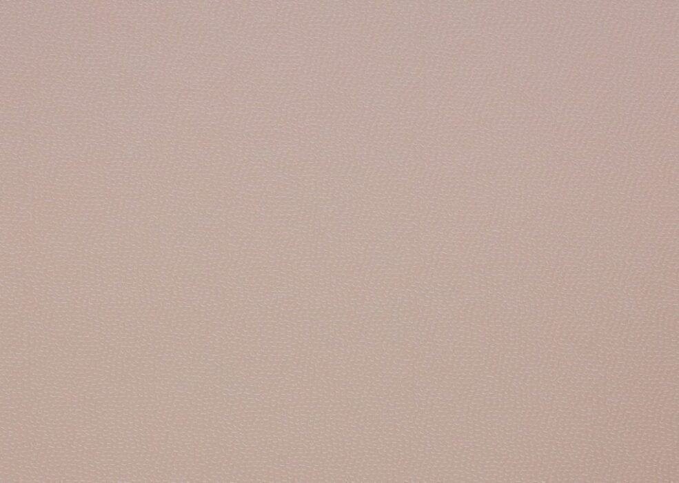 Thayer Conch Fabric Flat Image