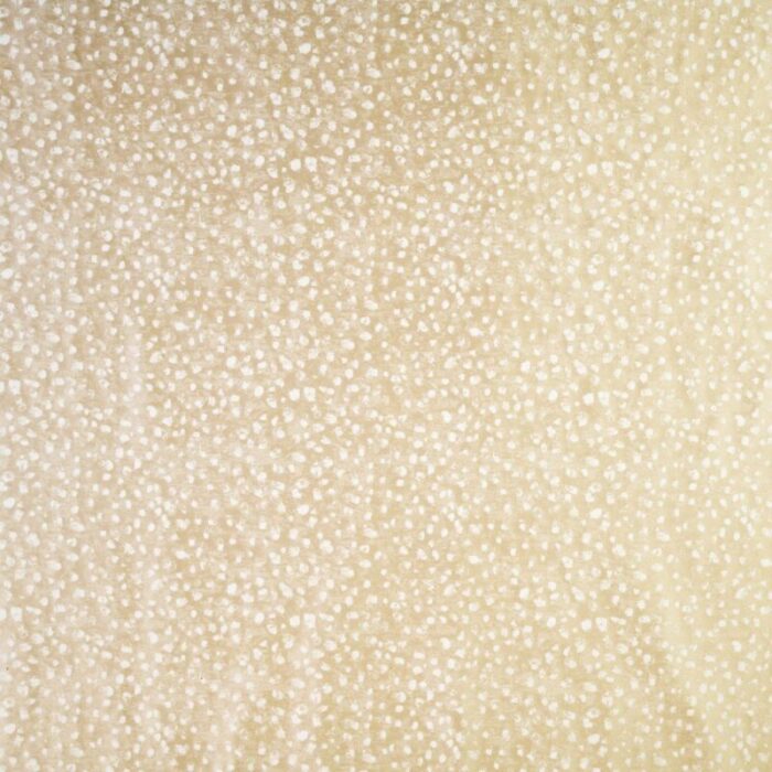 Zircon Limestone Fabric Flat Image
