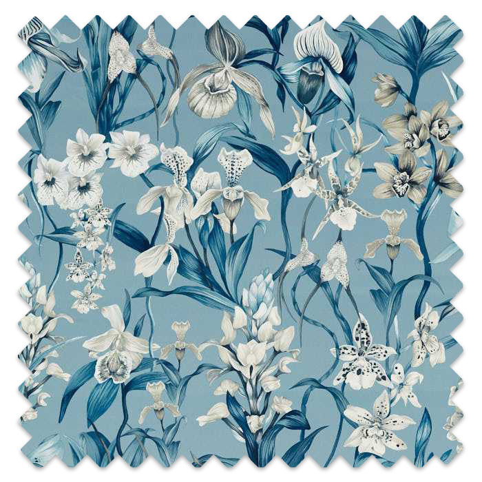 Swatch of Kalina Celestial/Murmuration/Awakening