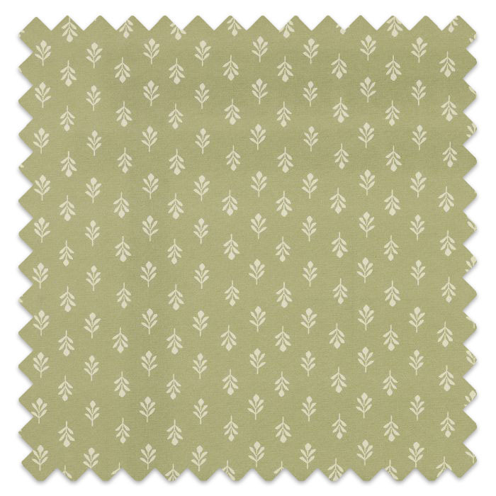 Swatch of Little Bud Fennel