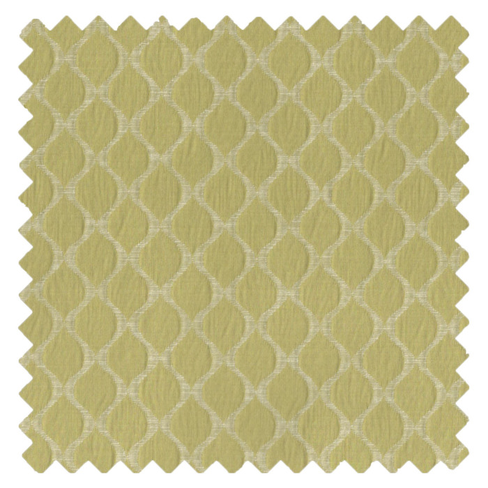 Charleston Olive Swatch