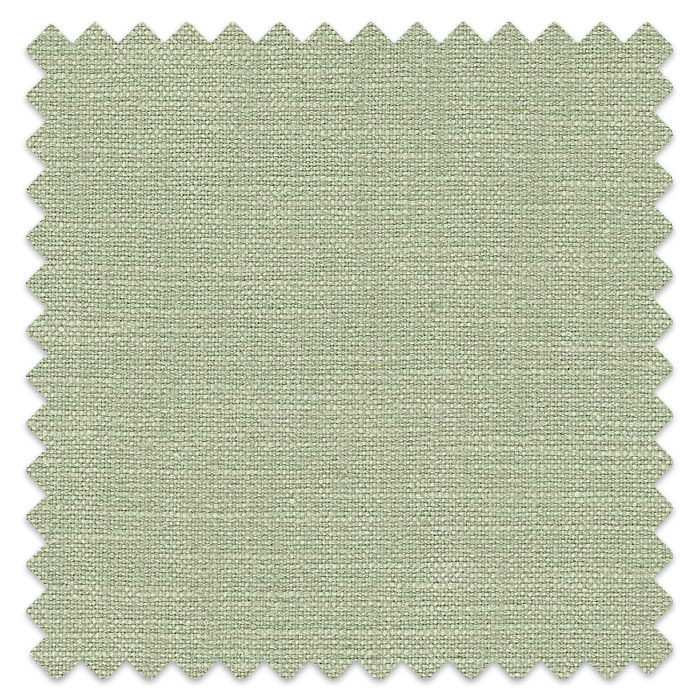 Swatch of Mineral Lichen