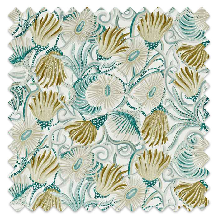 Swatch of Montipora Amazonia/Nectar