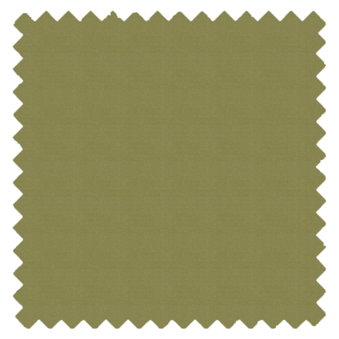 Palermo Fern Roller Blind