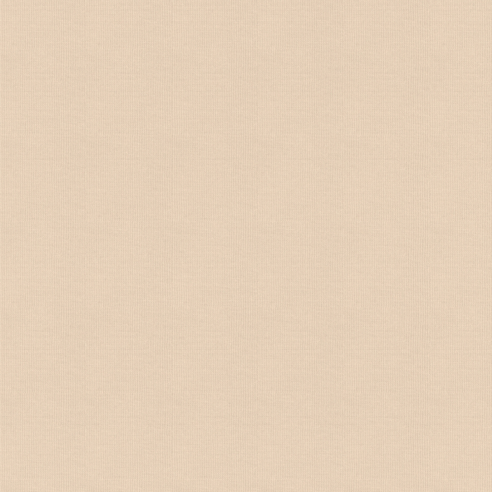 Ray Almond Roller Blind Fabric Sample