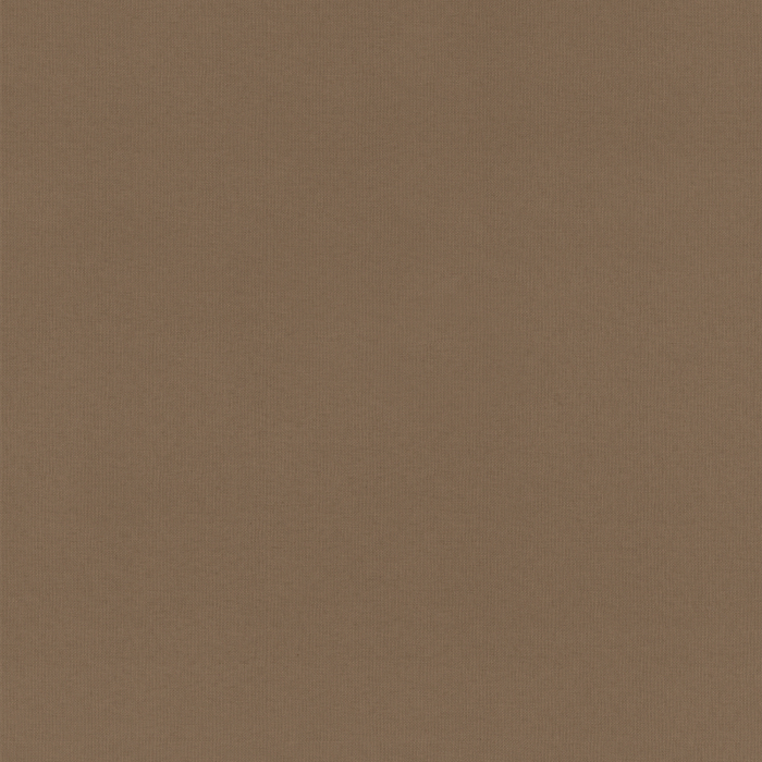 Ray Coco Fabric Sample