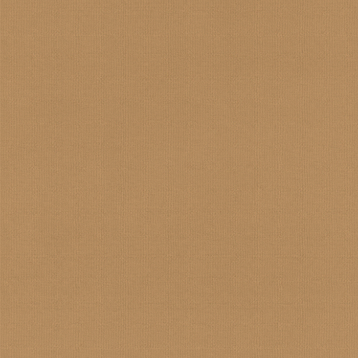 Ray Tan Roller Blind Fabric Sample