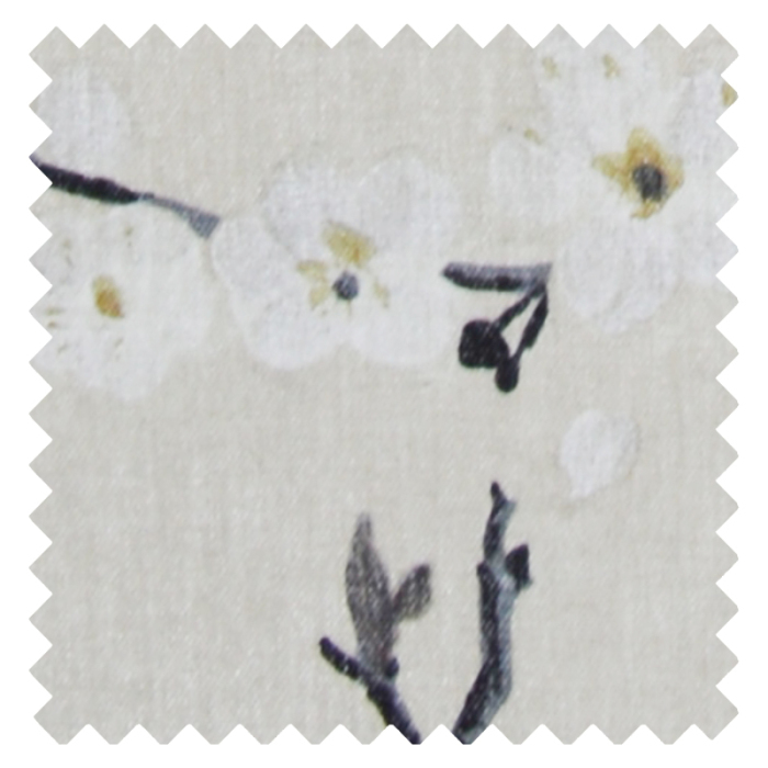 Emi Parchment