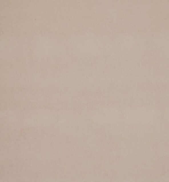 Arezzo Shell Fabric by Ashley Wilde