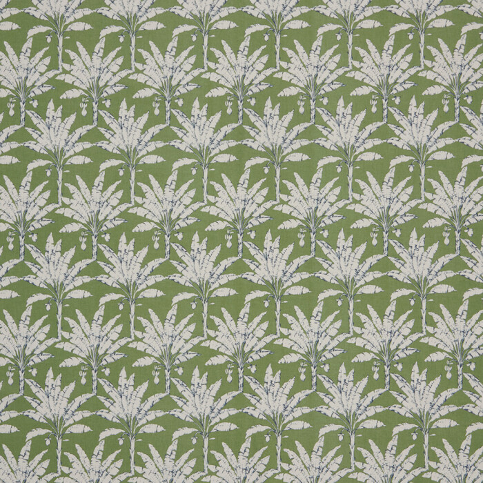 Image of Palm House spruce by iLiv