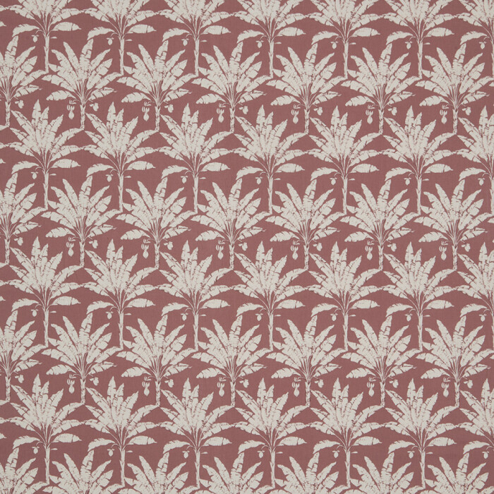 Image of Palm House woodrose by iLiv