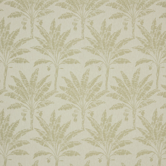 Image of palram spruce by iLiv