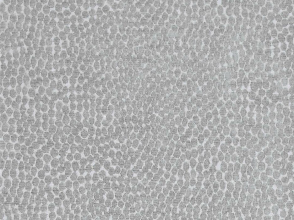 Image of pebble dove by Voyage