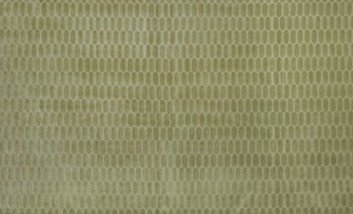 Image of Rialta aloe by Kai