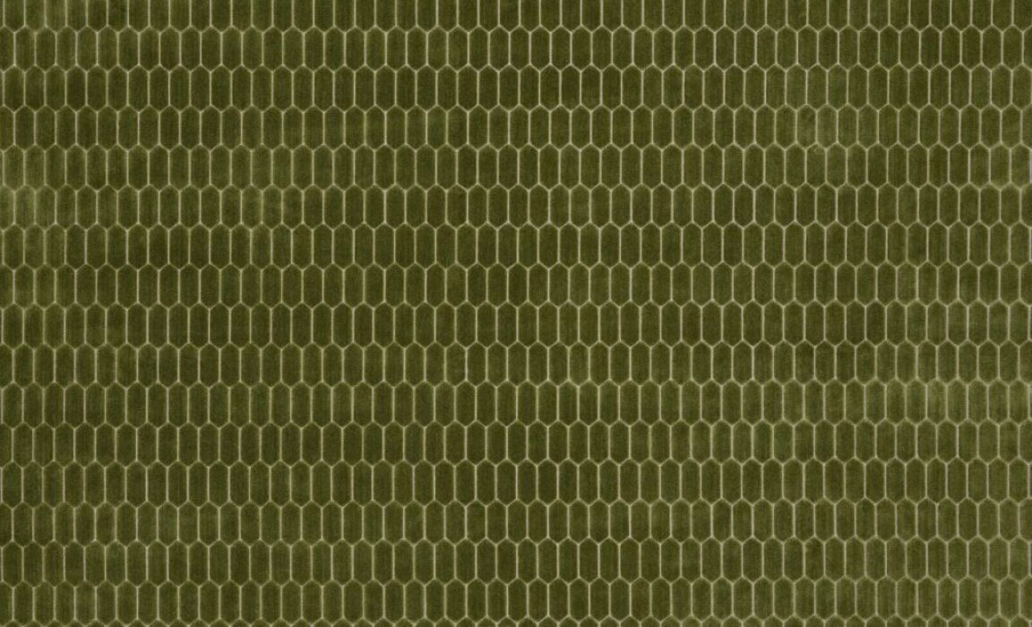 Image of Rialta fern by Kai