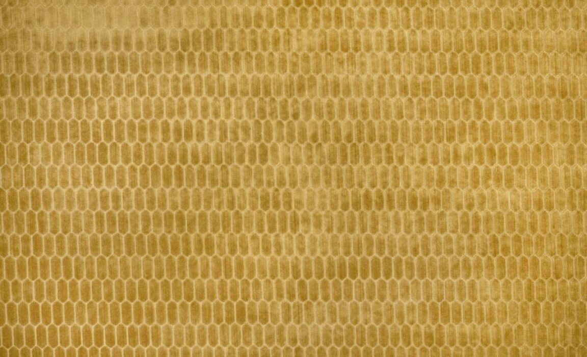 Image of Rialta pollen by Kai