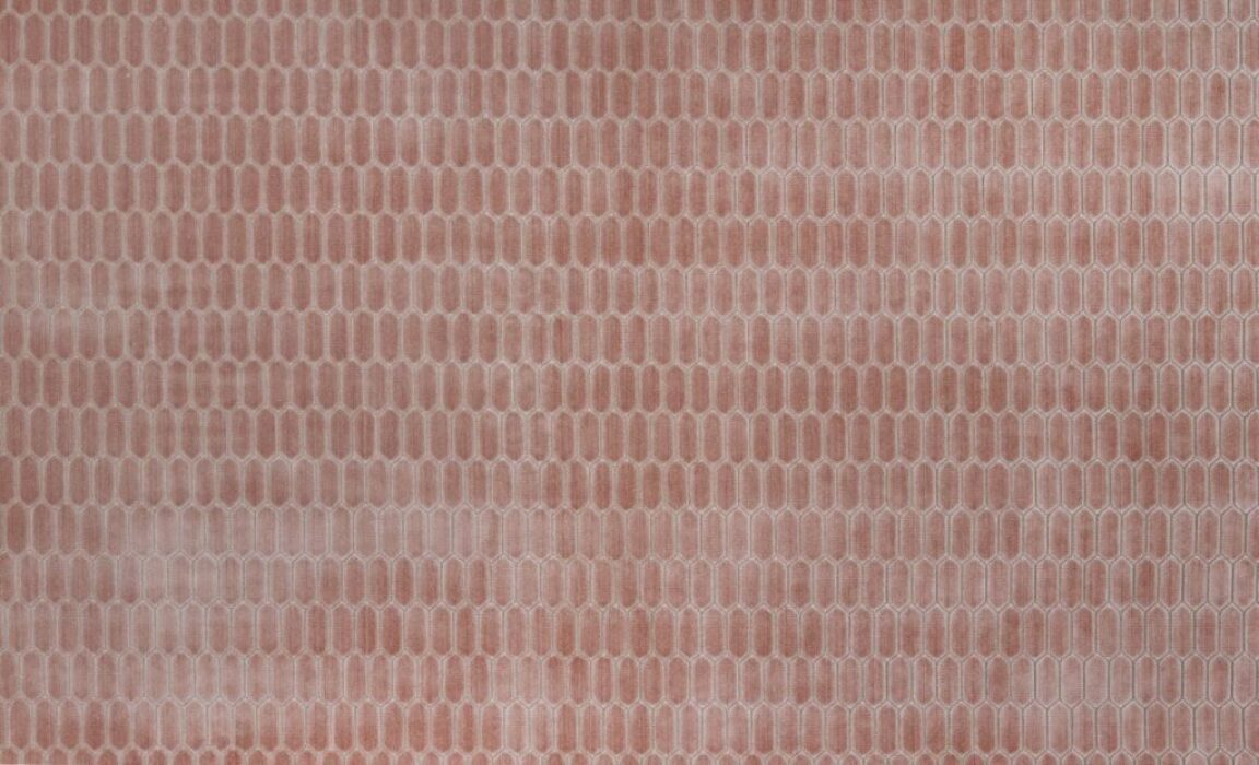 Image of Rialta rose by Kai