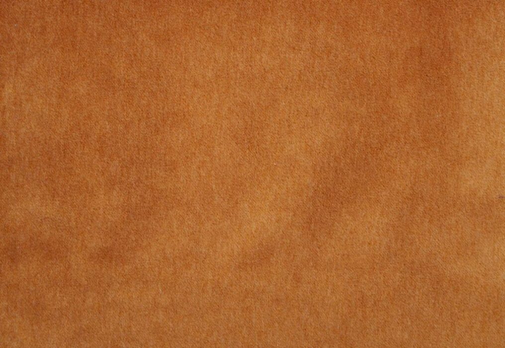 Image of Savona mango by Kai