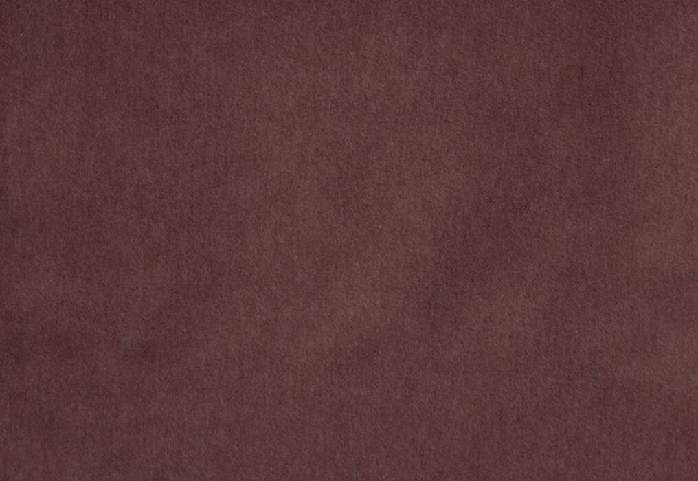 Image of Savona plum by Kai