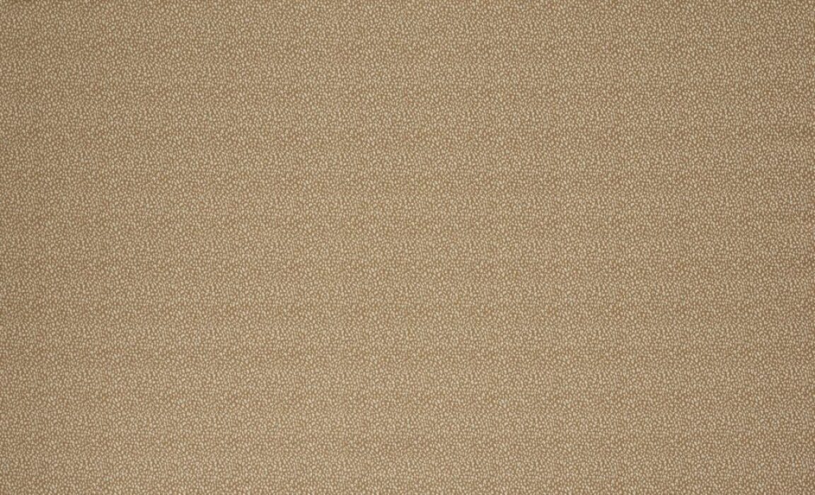 Image of Sika gold by Kai