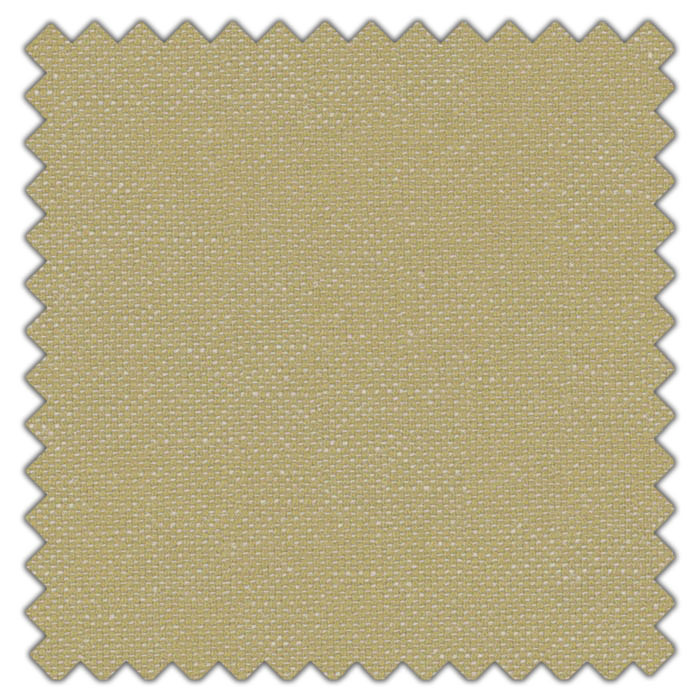 Swatch of Shani Moss