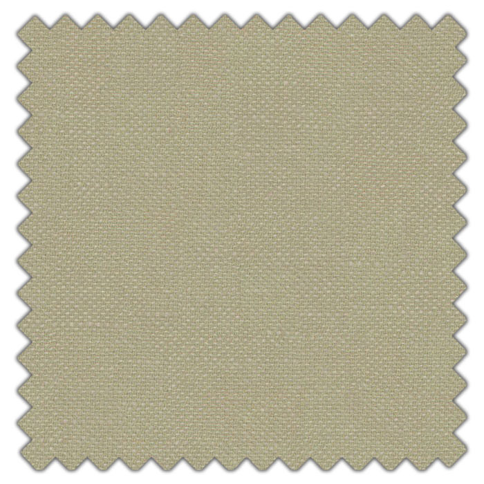 Swatch of Shani Willow