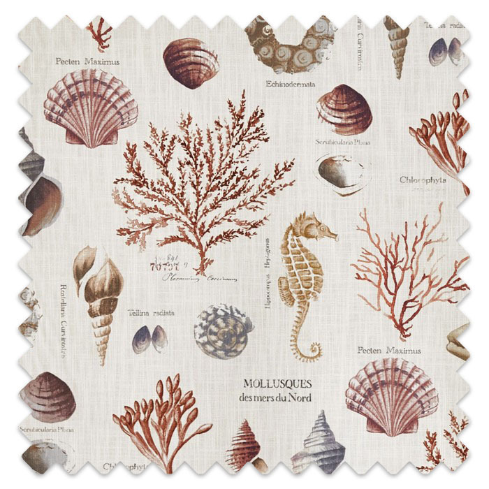 Swatch of St Helier Coral