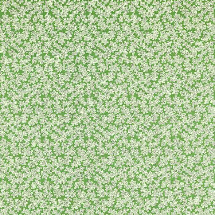 Zori Forest/First Light Fabric by Harlequin