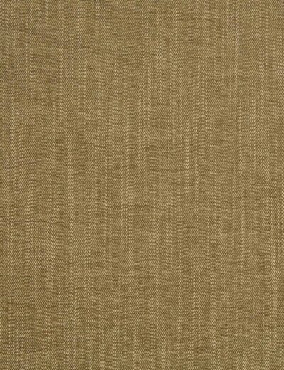 Albany Moss Fabric