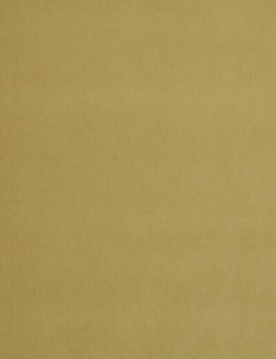 Arezzo Avocado Fabric