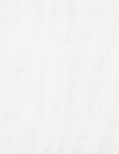 Ayla Ice Fabric